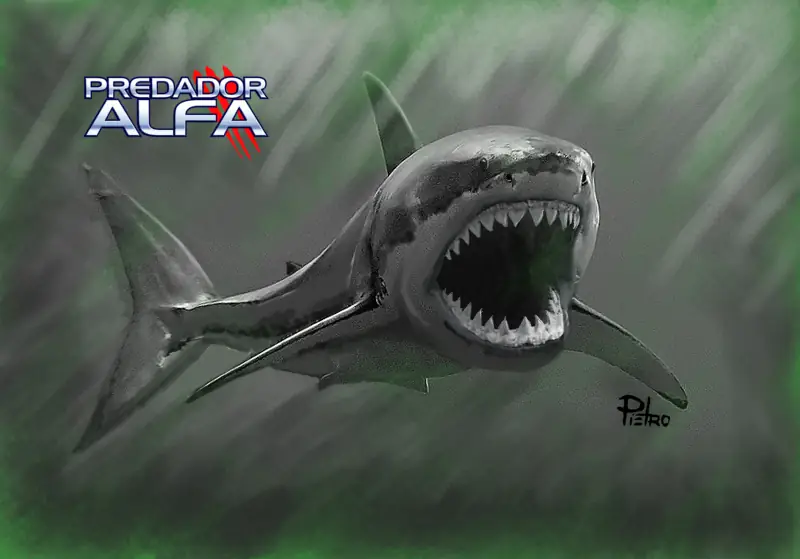 Megalodon Megalodon